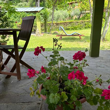 Casa Verde Country House Montescudaio Luaran gambar