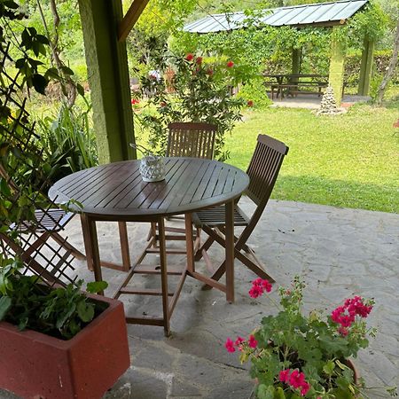 Casa Verde Country House Montescudaio Luaran gambar