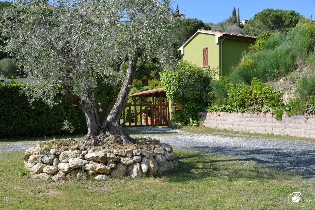 Casa Verde Country House Montescudaio Luaran gambar