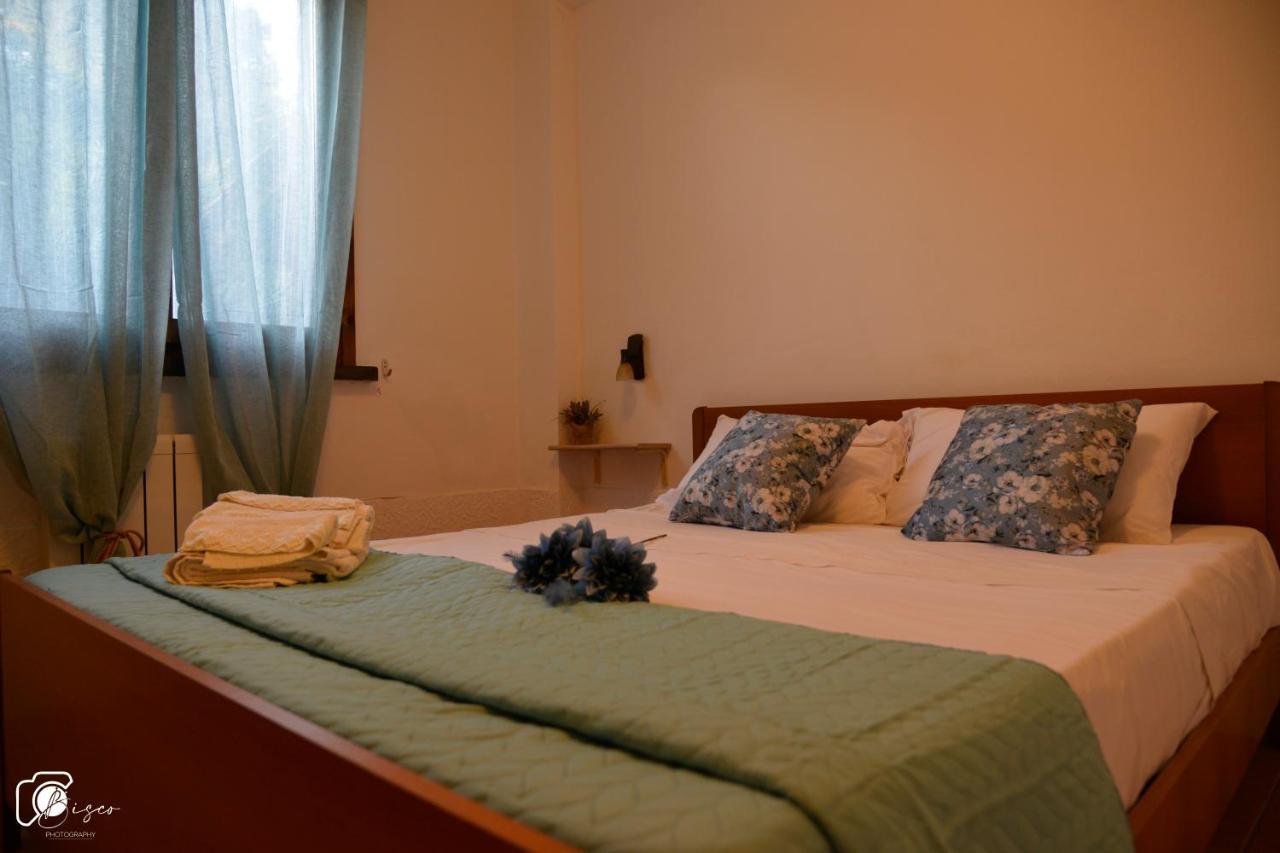 Casa Verde Country House Montescudaio Luaran gambar