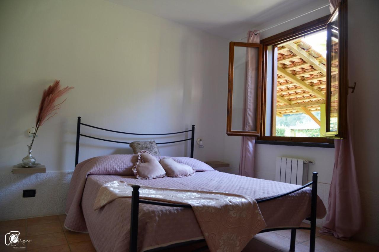 Casa Verde Country House Montescudaio Luaran gambar