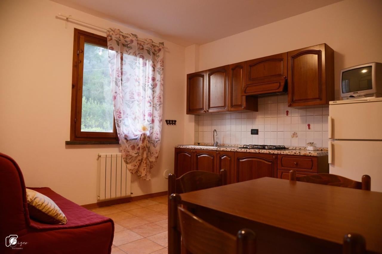 Casa Verde Country House Montescudaio Luaran gambar