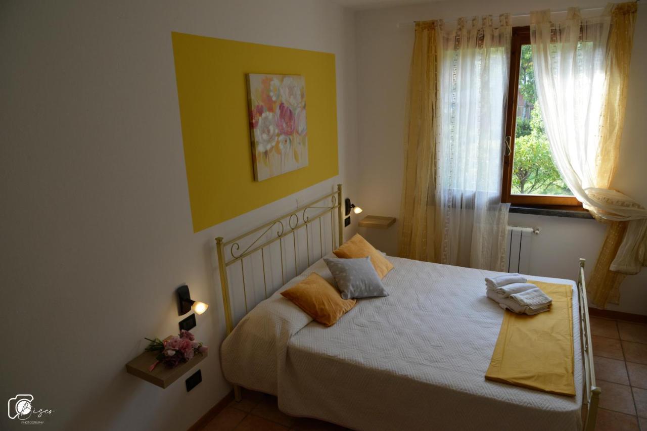 Casa Verde Country House Montescudaio Luaran gambar