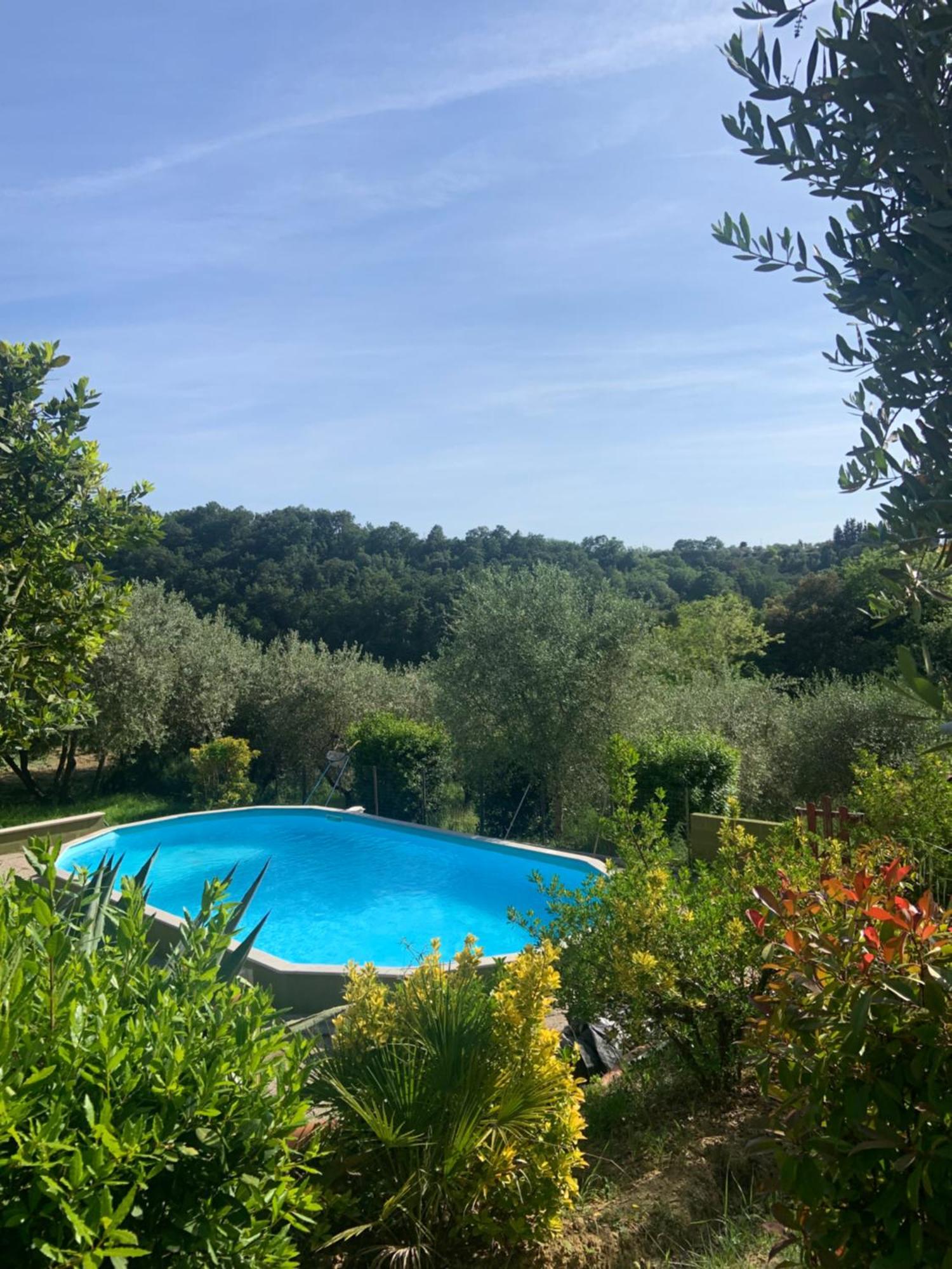 Casa Verde Country House Montescudaio Luaran gambar