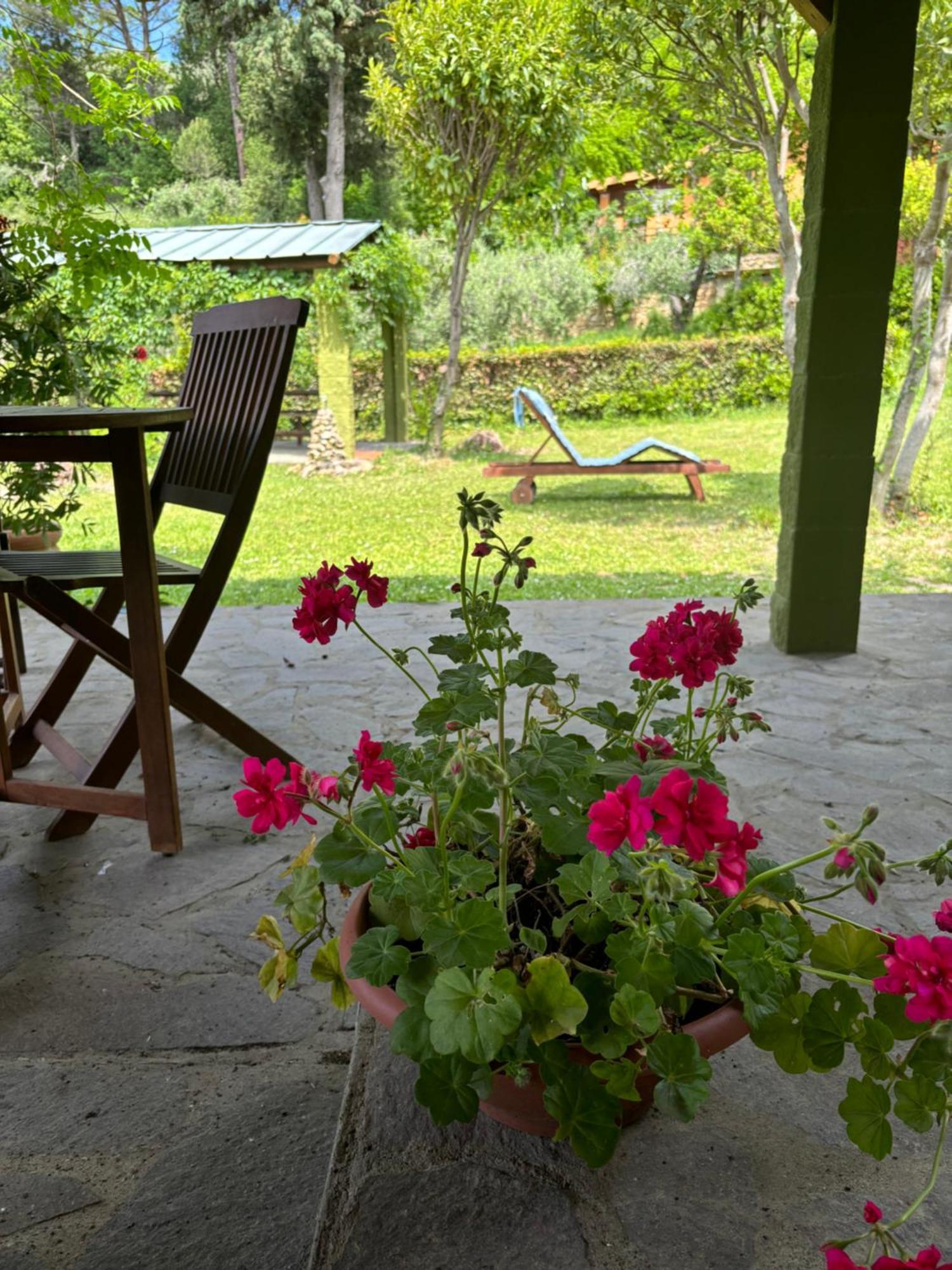 Casa Verde Country House Montescudaio Luaran gambar